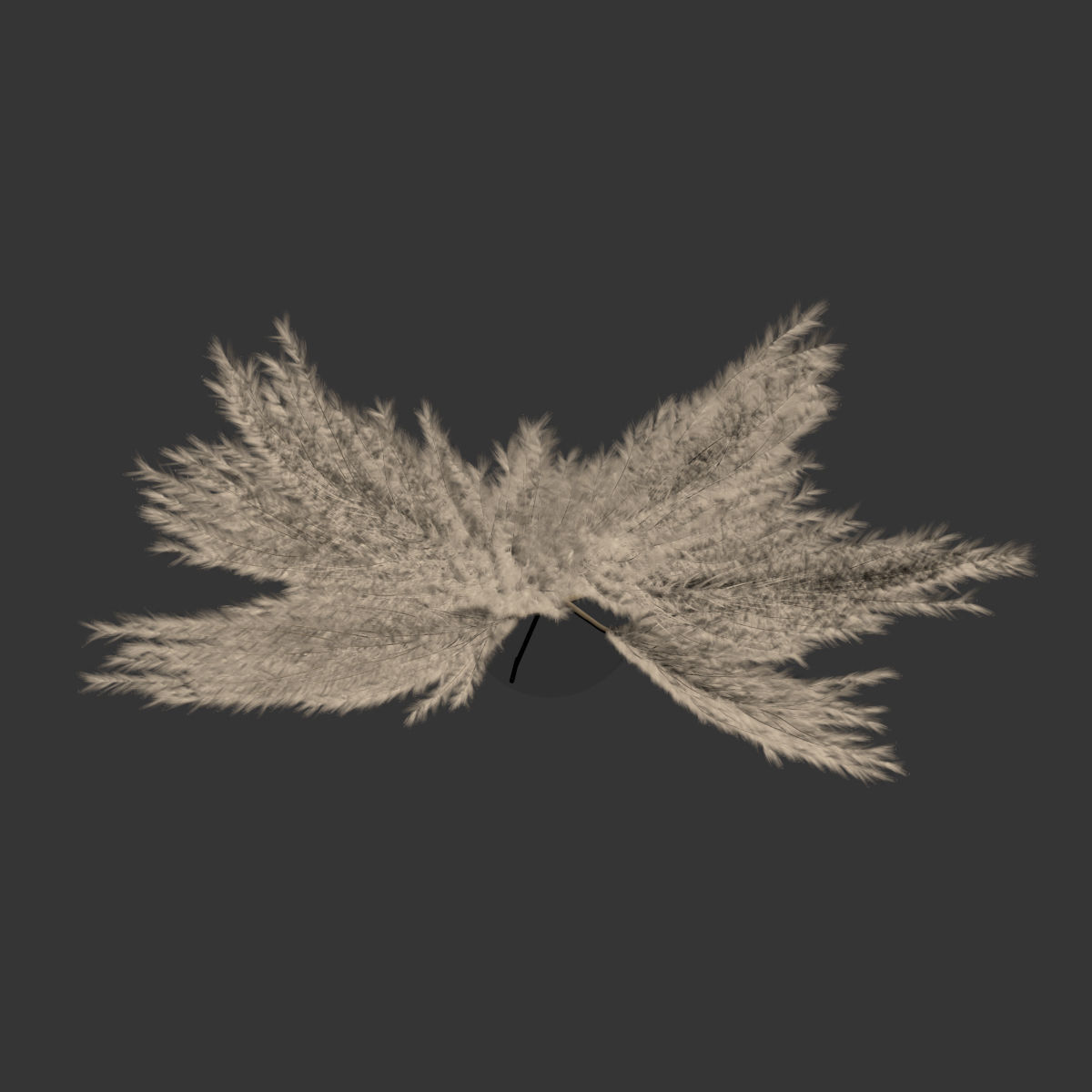 Big dried flower pampas grass in glass vase 5 3D model_9