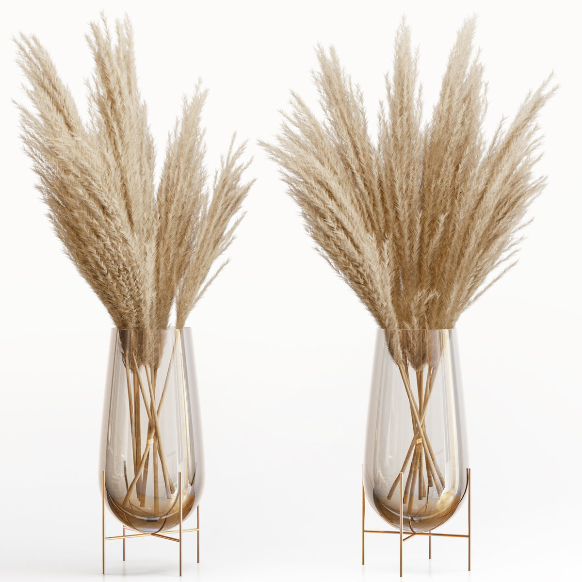 Big dried flower pampas grass in glass vase 5 3D model_1