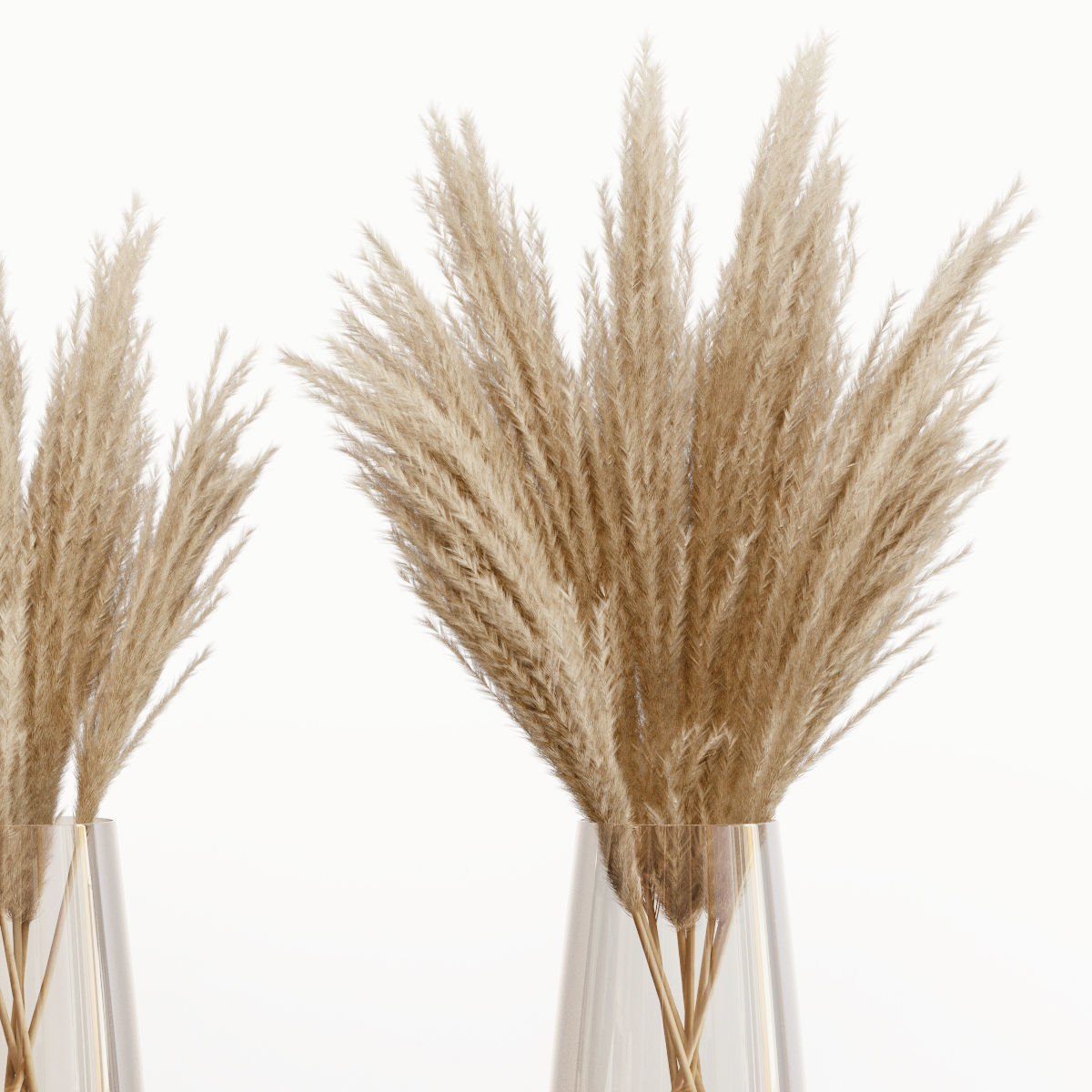 Big dried flower pampas grass in glass vase 5 3D model_3