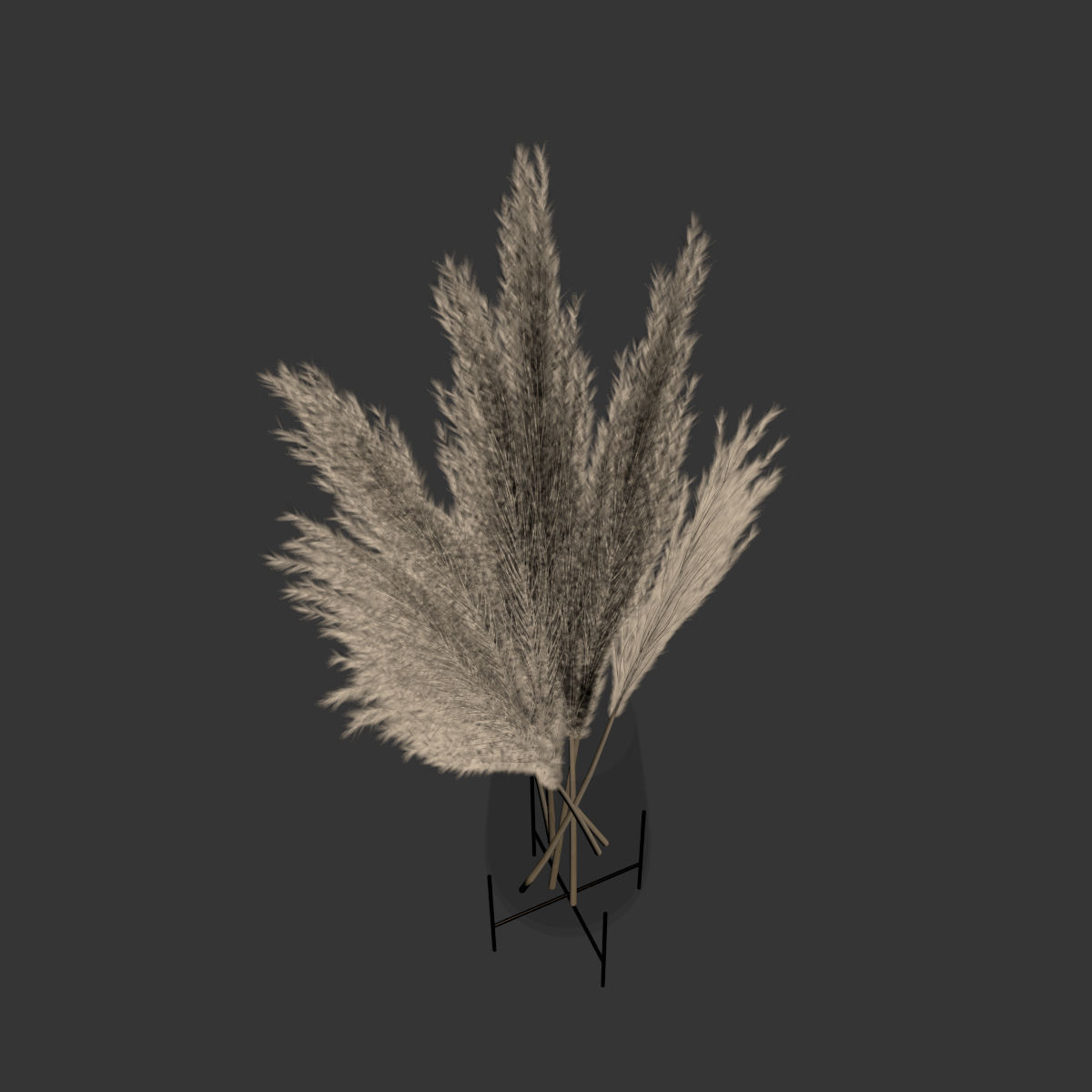 Big dried flower pampas grass in glass vase 5 3D model_8