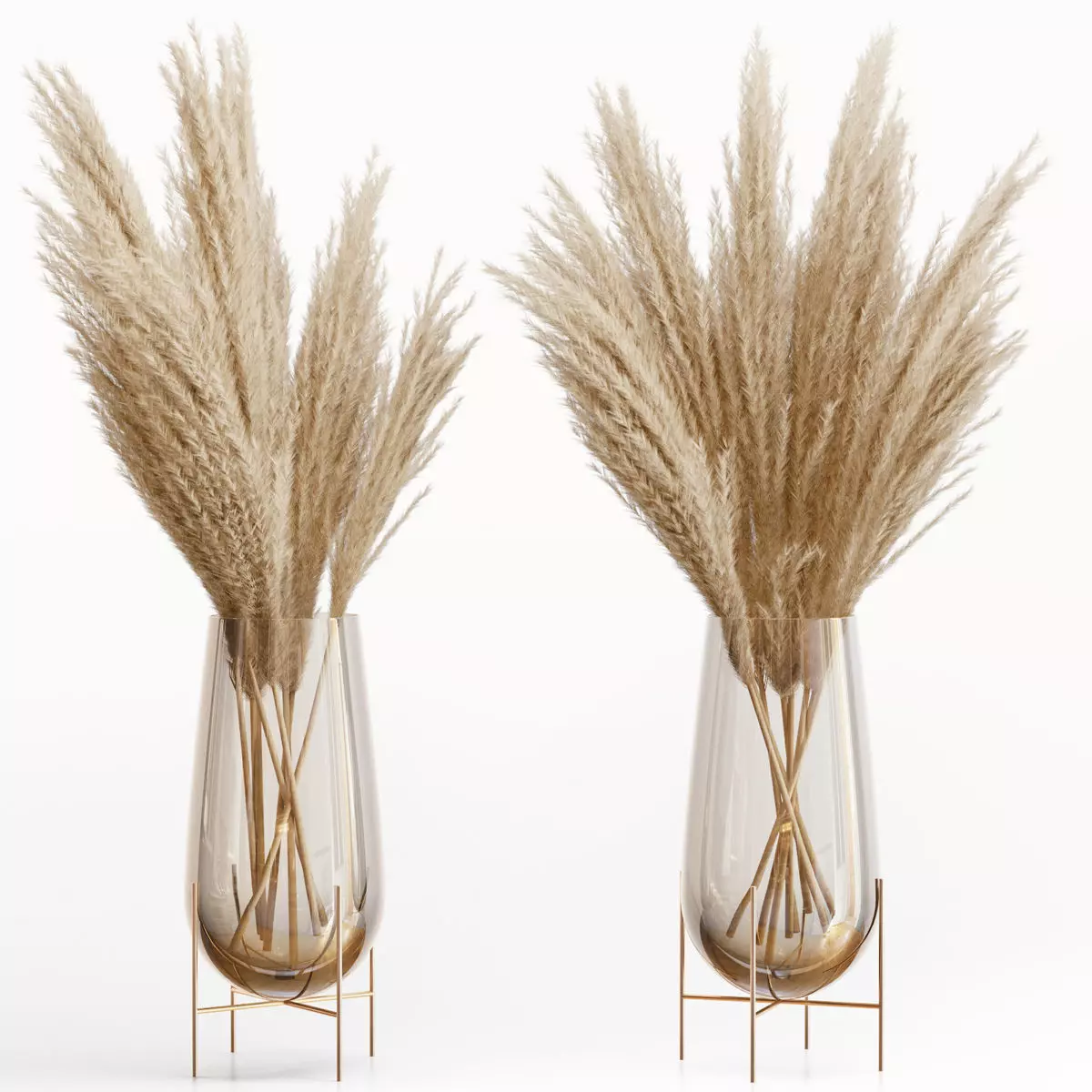 Big dried flower pampas grass in glass vase 5 3D model_0