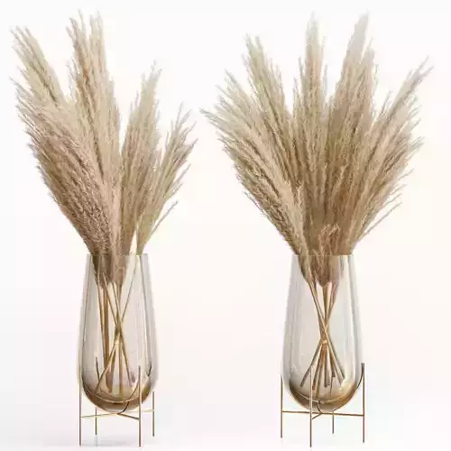 Big dried flower pampas grass in glass vase 5 3D model