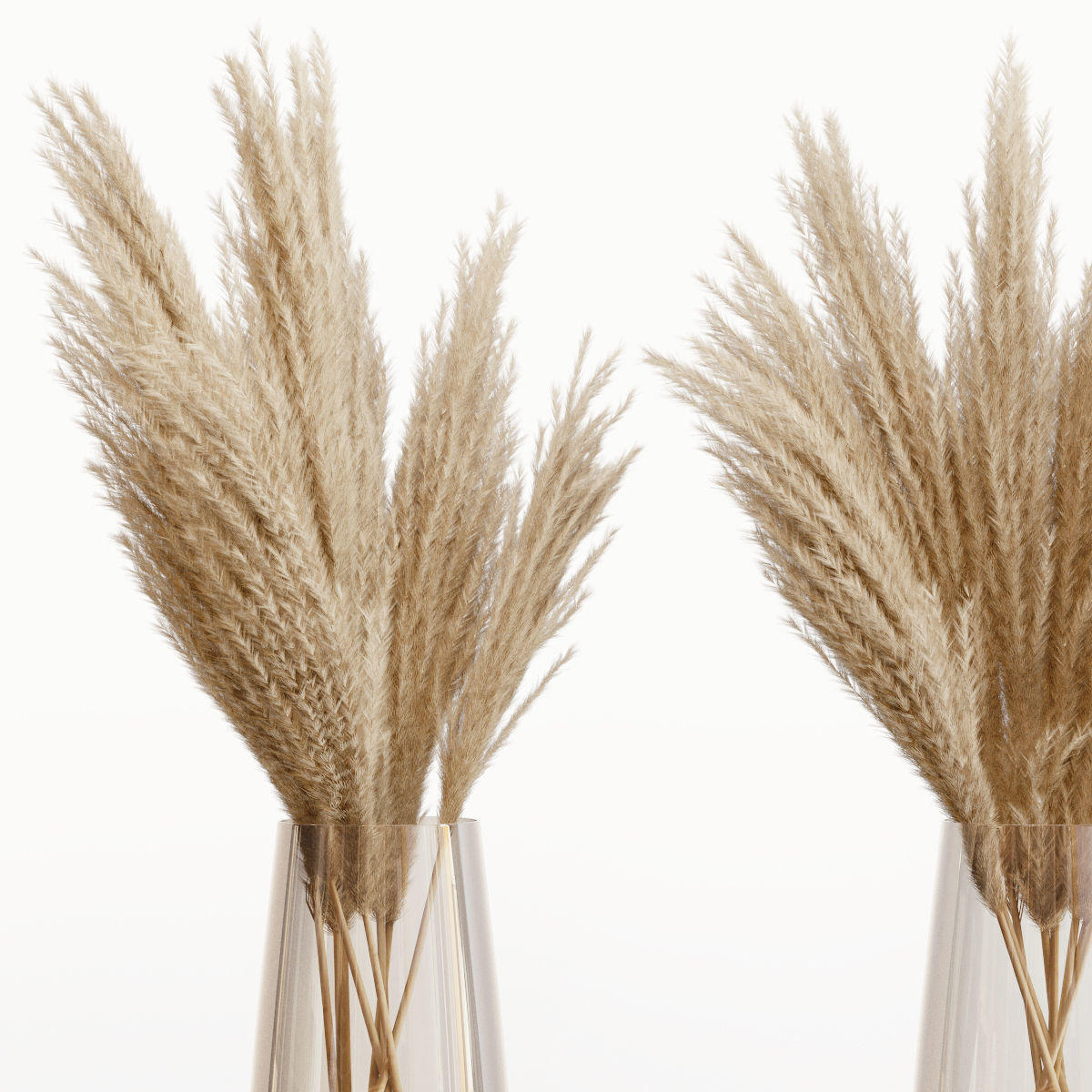 Big dried flower pampas grass in glass vase 5 3D model_2