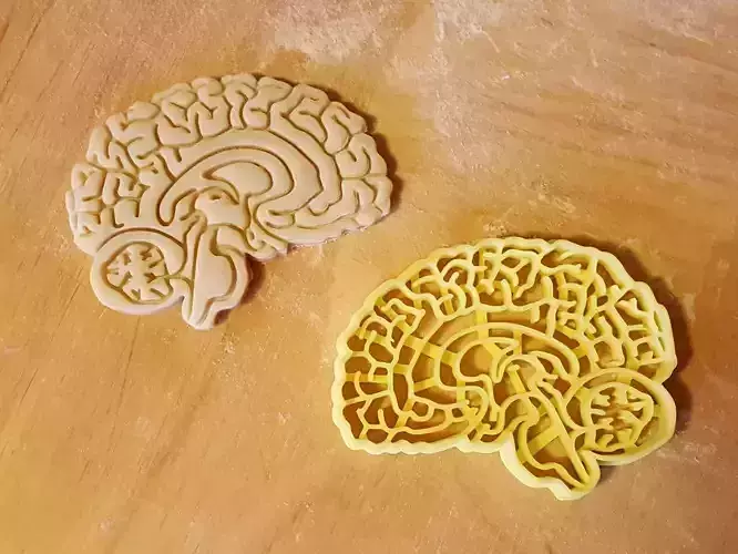 Brain cookie cutter 3D print model