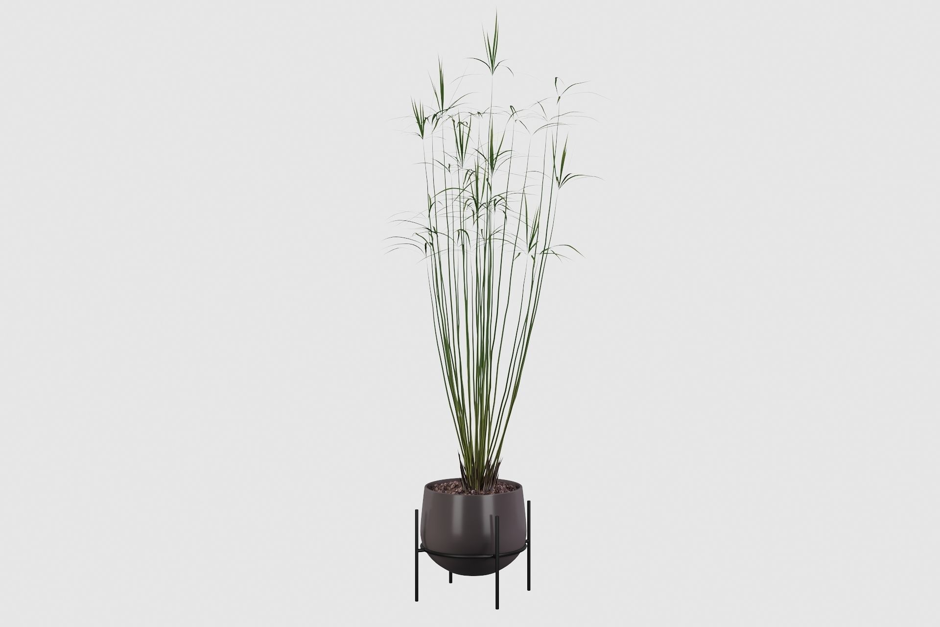 Plants collection 001 3D model_11