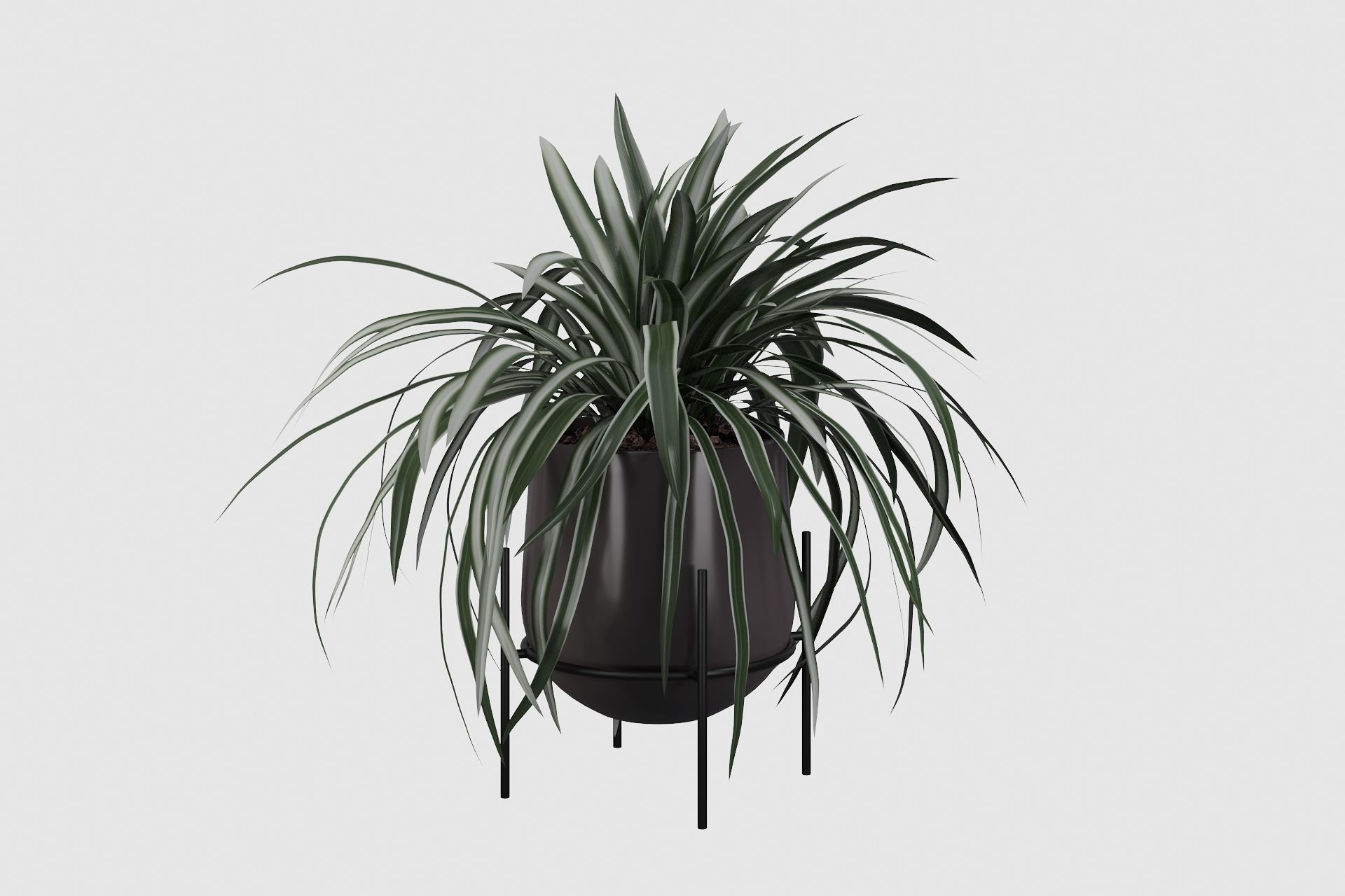 Plants collection 001 3D model_10