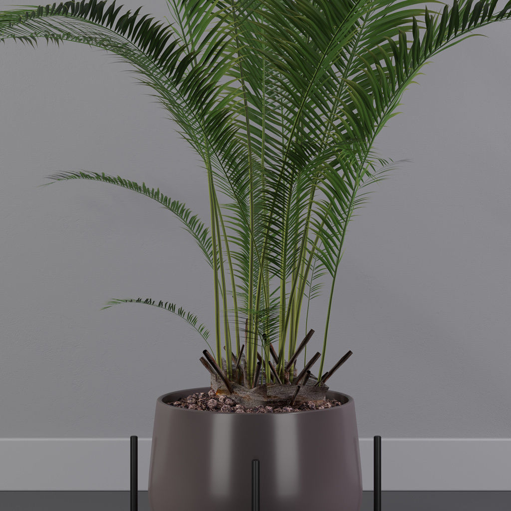 Plants collection 001 3D model_23