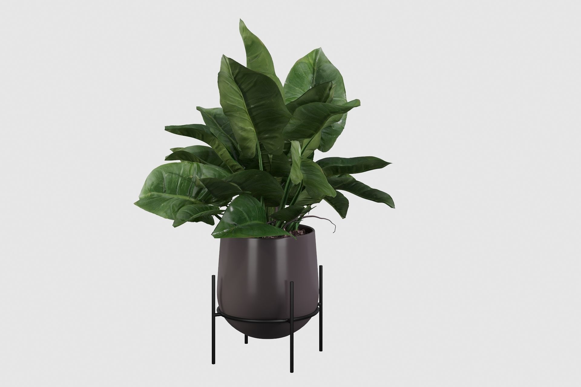 Plants collection 001 3D model_12