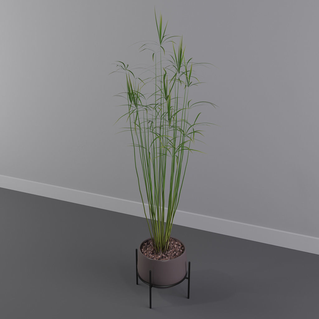 Plants collection 001 3D model_19