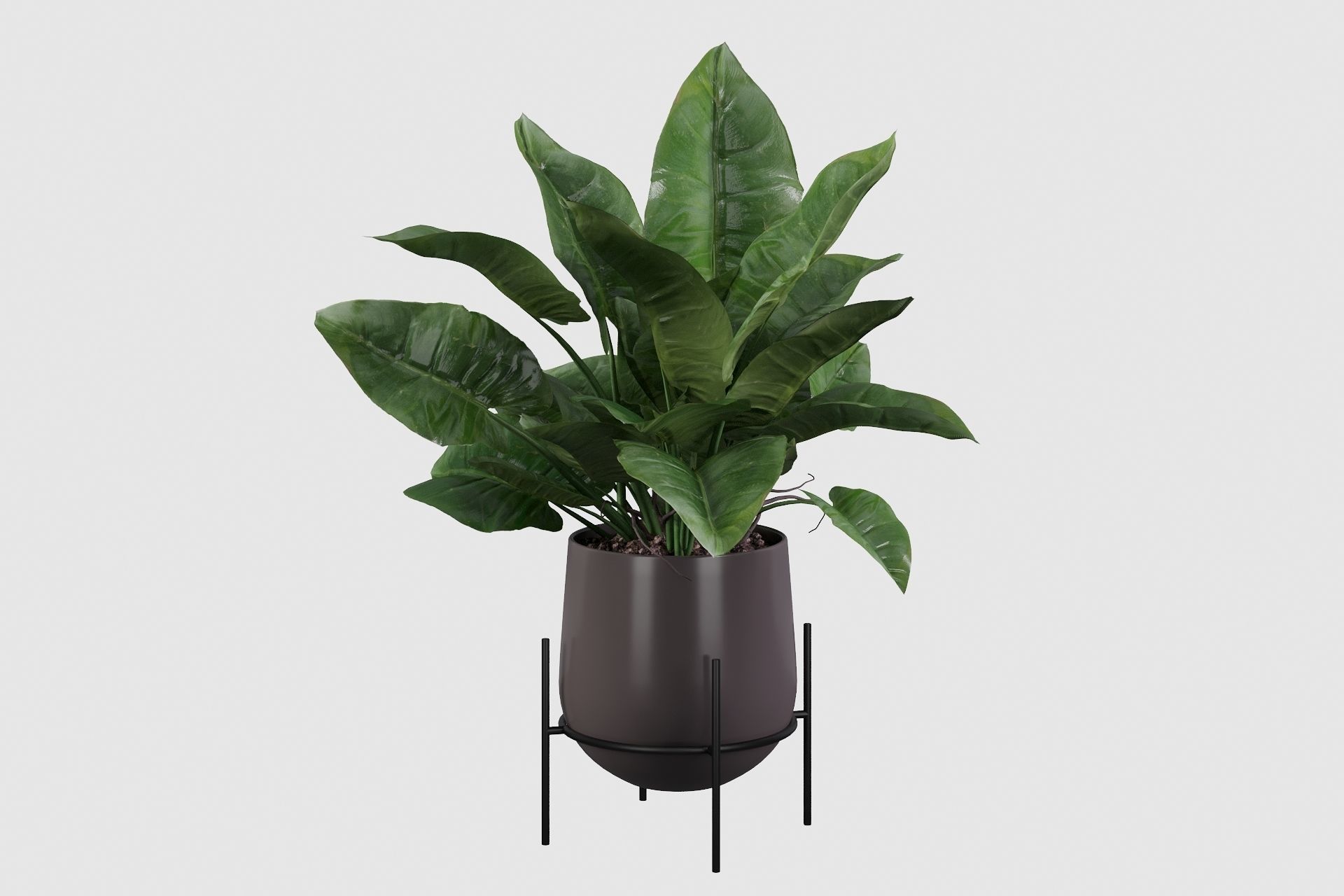 Plants collection 001 3D model_15