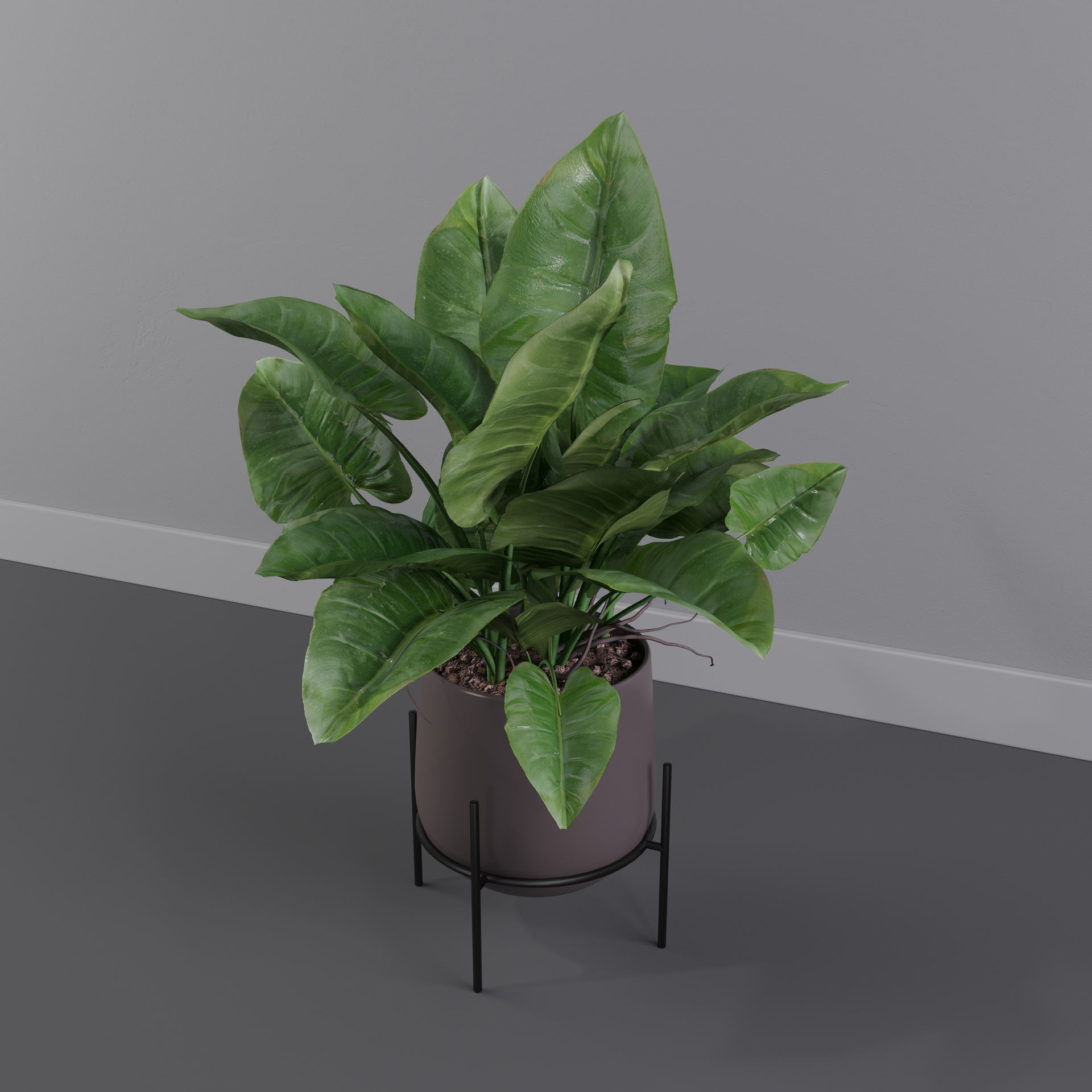 Plants collection 001 3D model_26