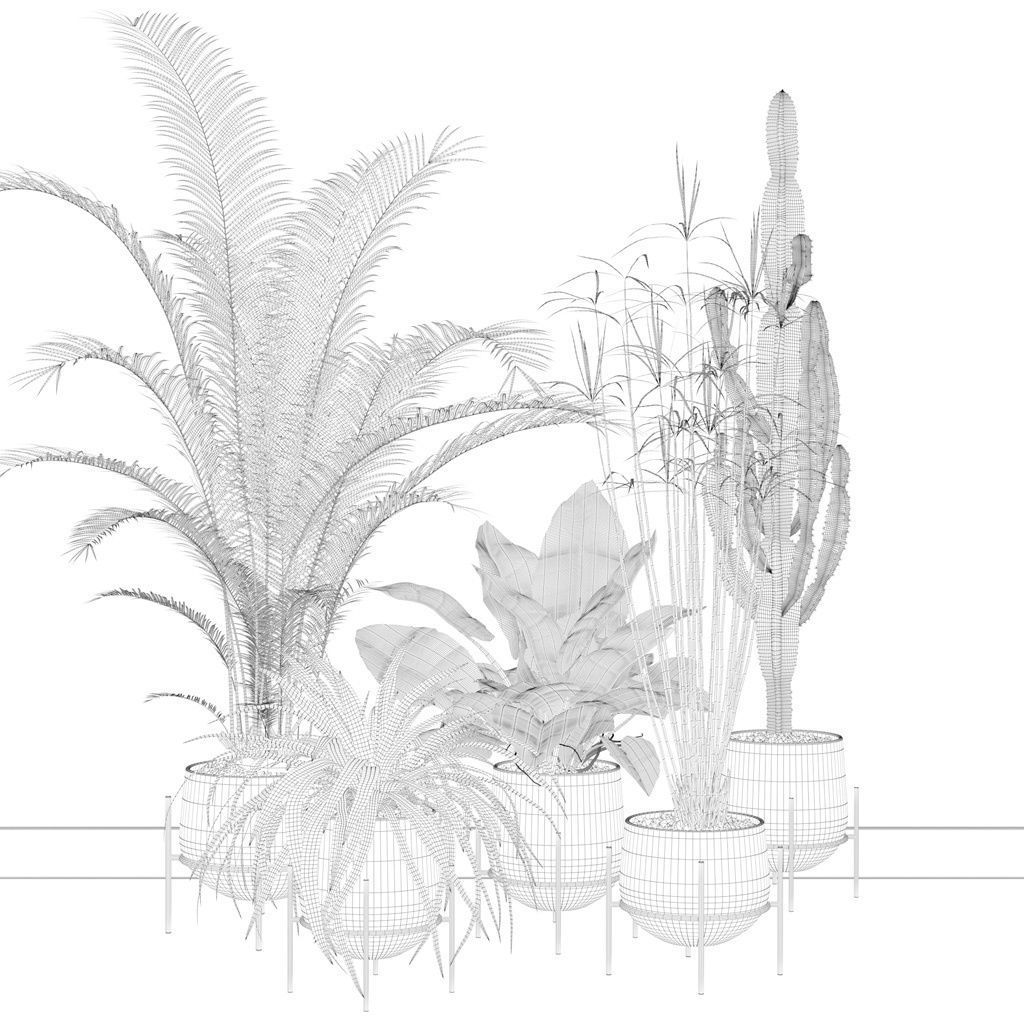 Plants collection 001 3D model_4