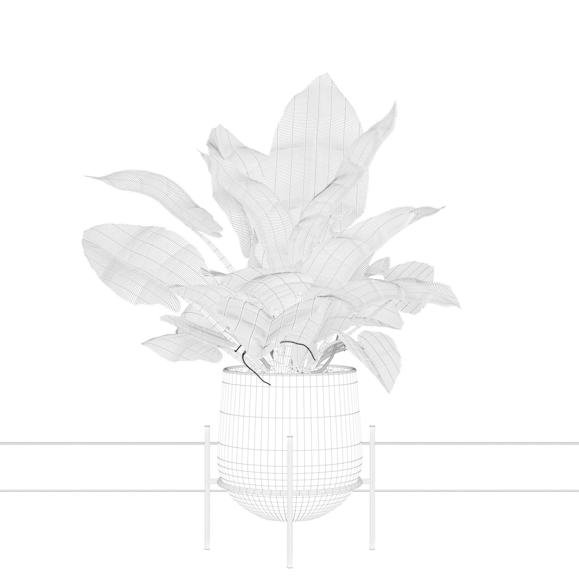 Plants collection 001 3D model_20