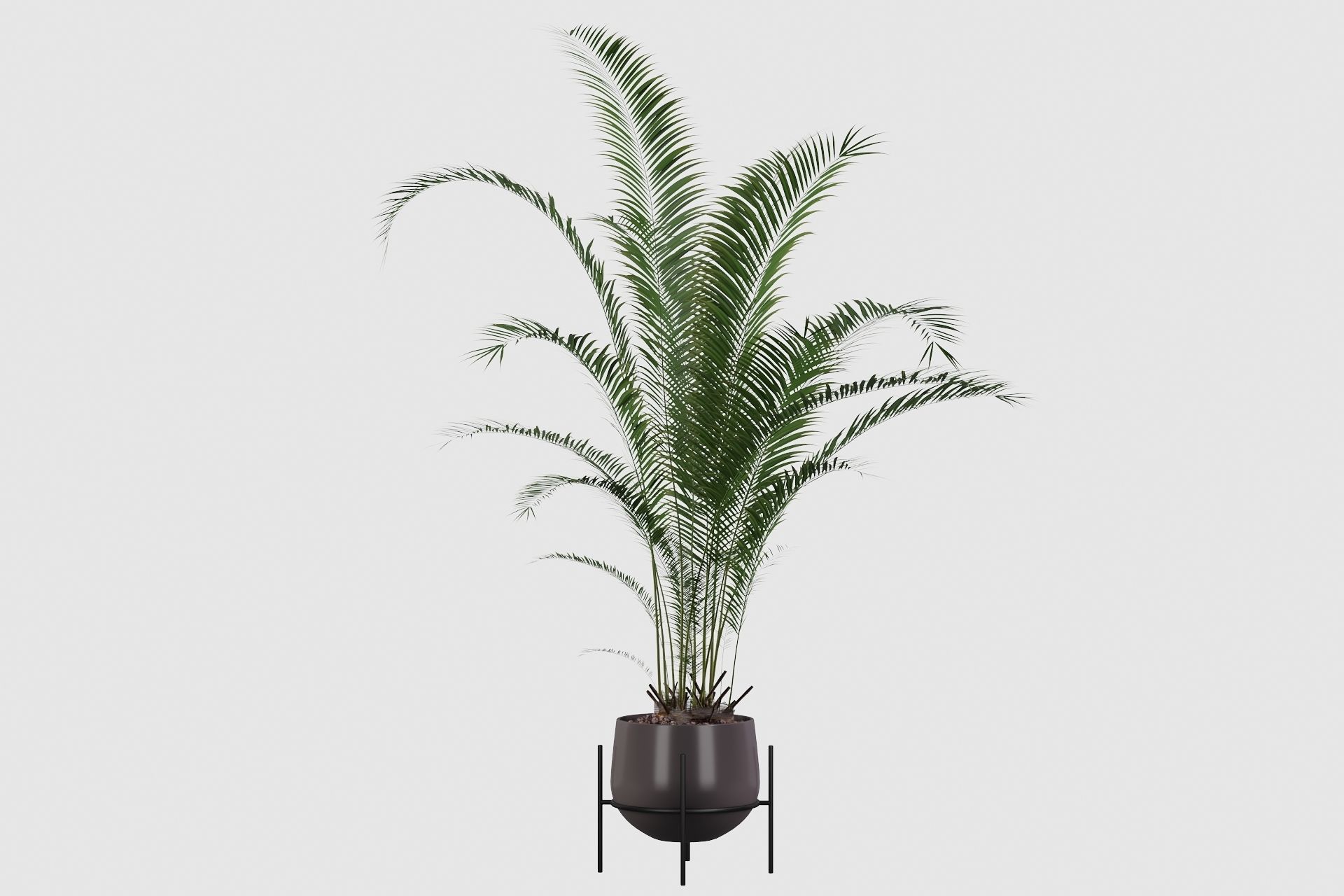 Plants collection 001 3D model_7