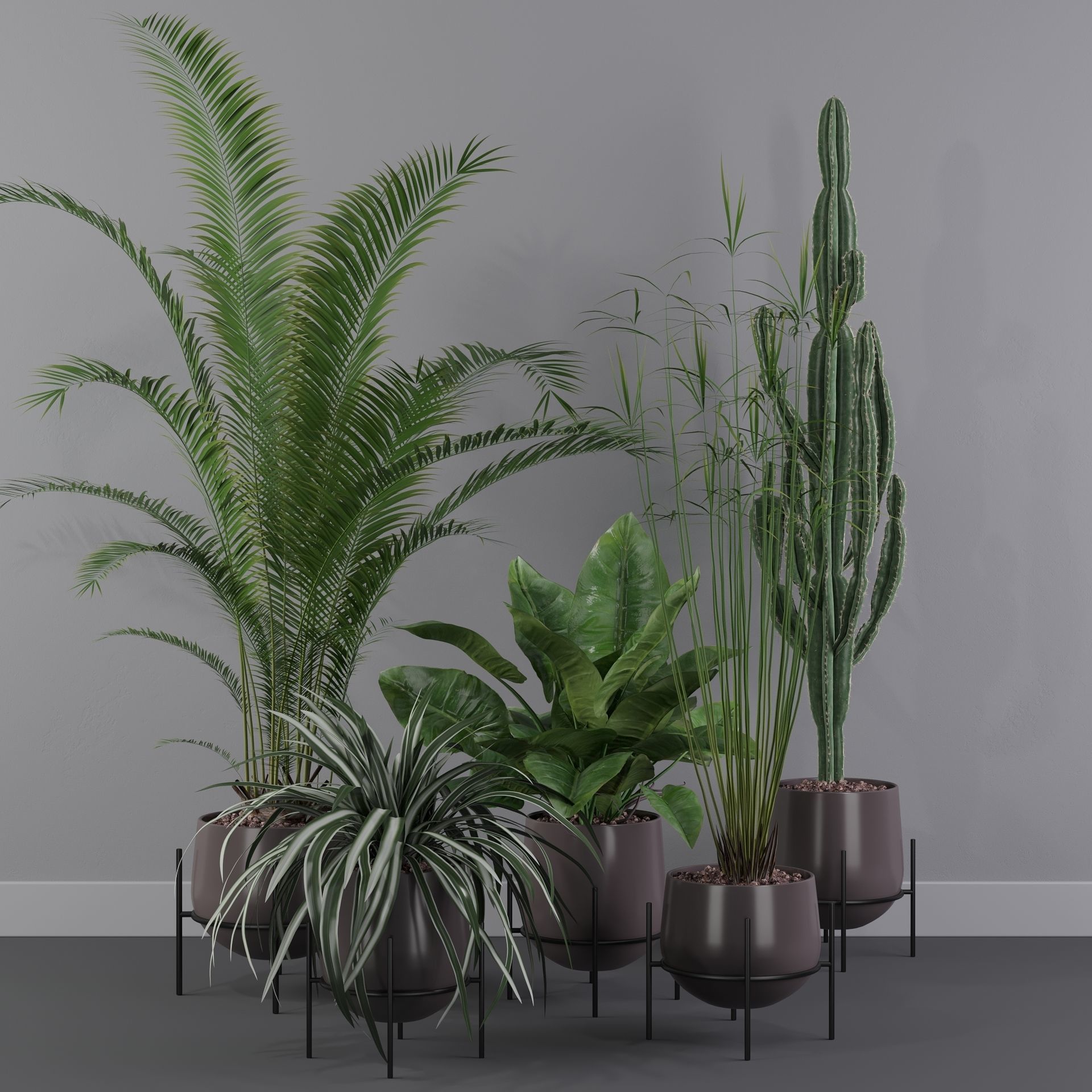 Plants collection 001 3D model_27