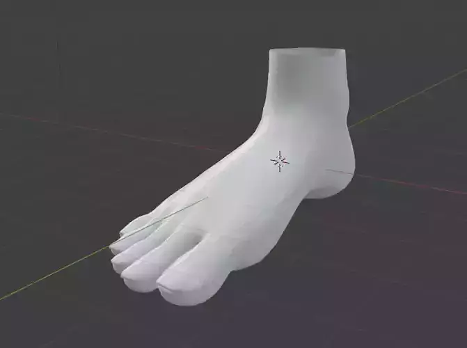 Human-Feet foot with line drawn