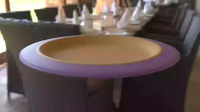 Plate for lunch or dinner