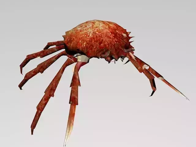 CRAB SEA Free 3D model