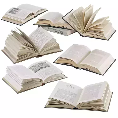 opened books collection 3D model
