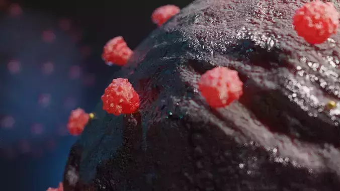 Covid-19 rock with raspberries