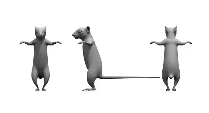 squirrel cartoon 3d model