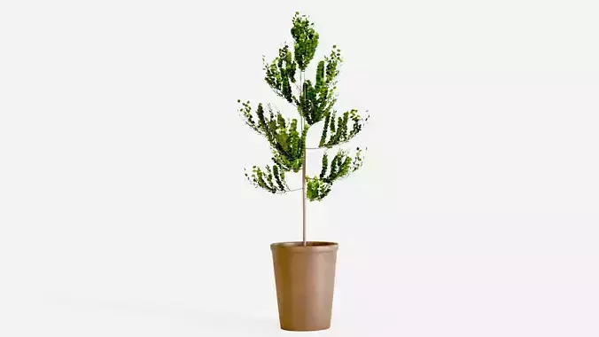 Small tree with pot Low-poly 3D model