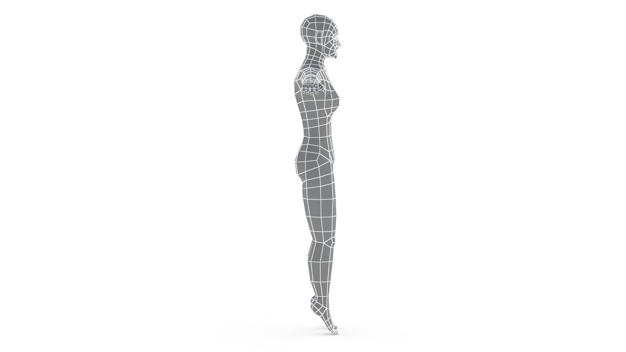 Low Poly Base Mesh Female - Male 3D model_2