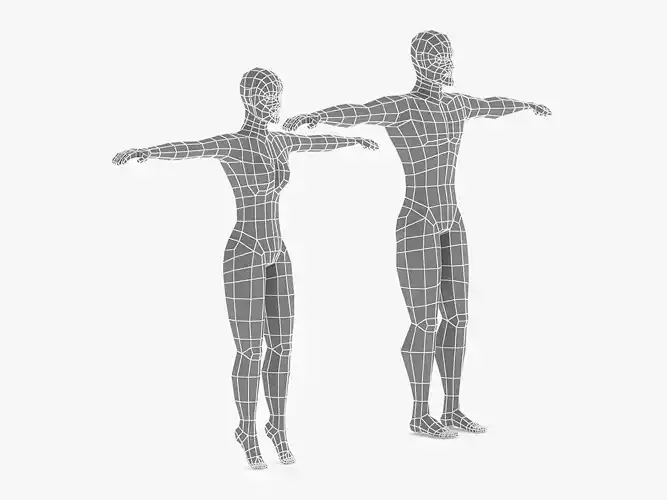 Low Poly Base Mesh Female - Male 3D model