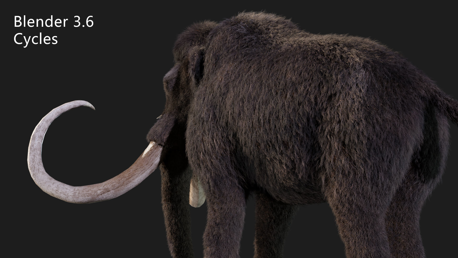 mammoth elephant 3D model_8