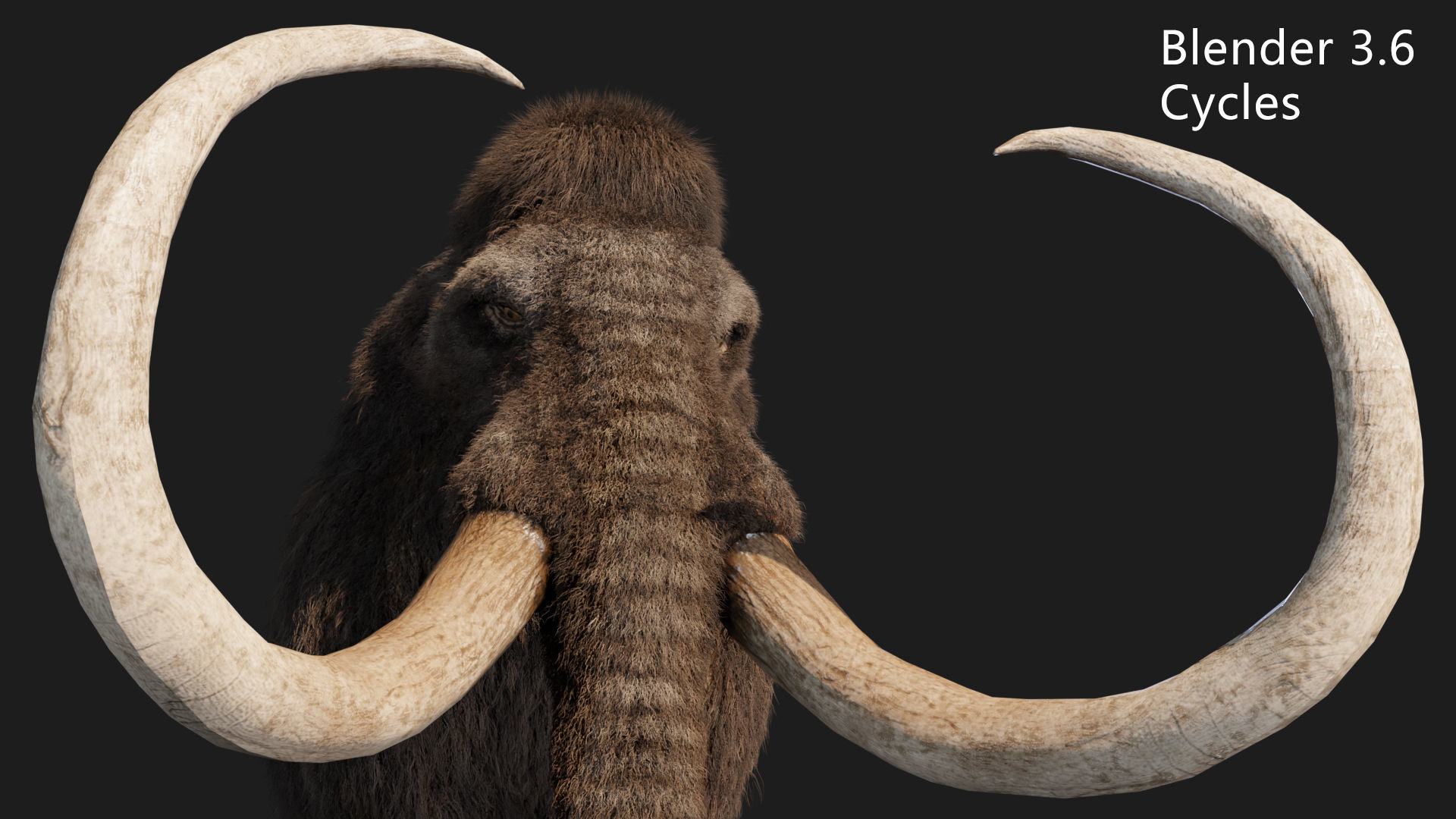 mammoth elephant 3D model_6