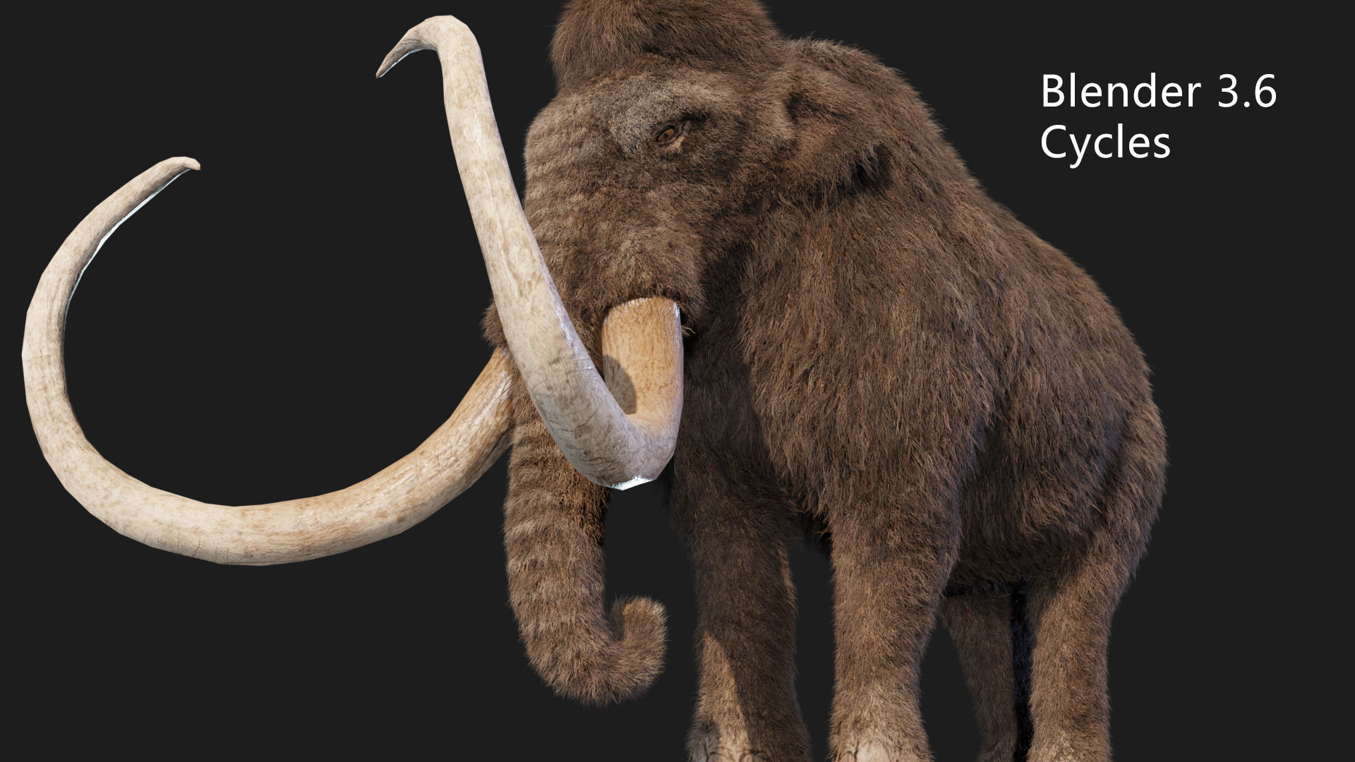 mammoth elephant 3D model_7