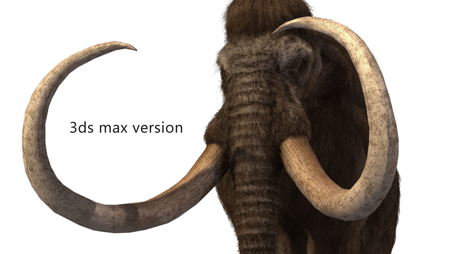 mammoth elephant 3D model_4
