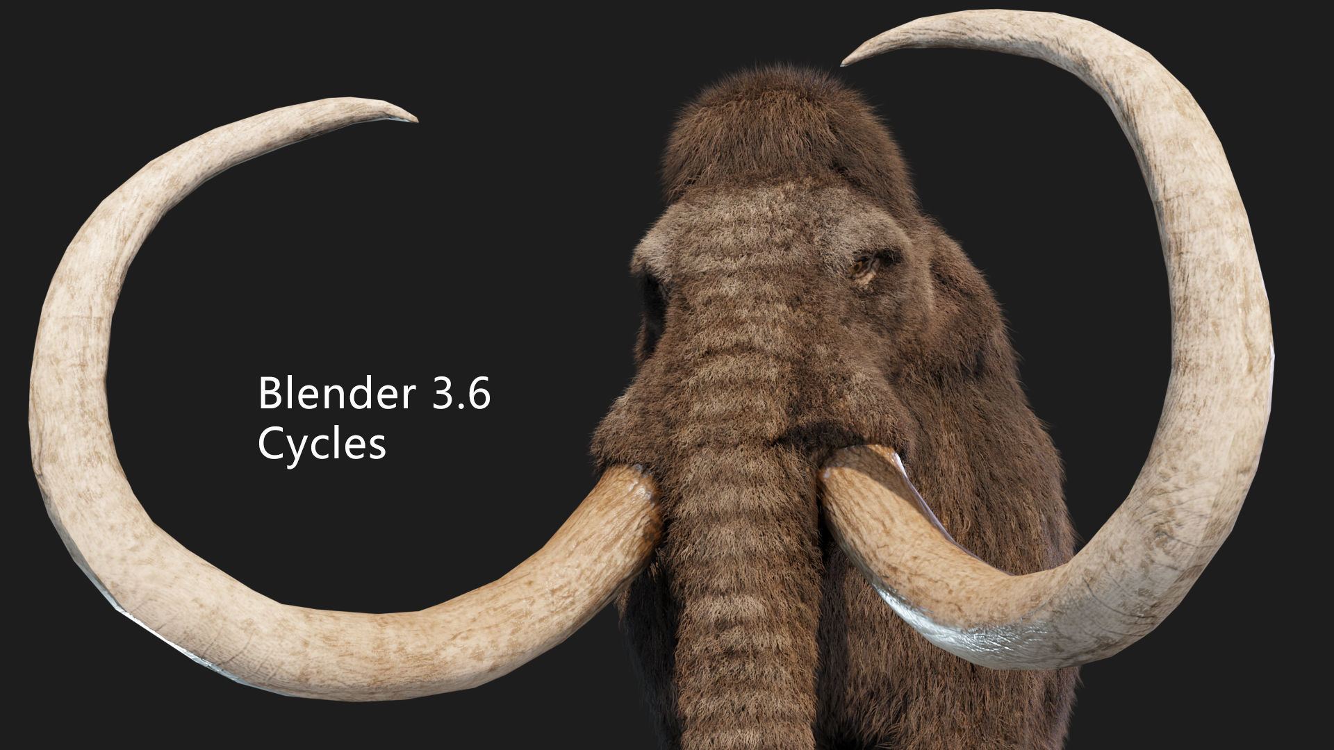 mammoth elephant 3D model_5
