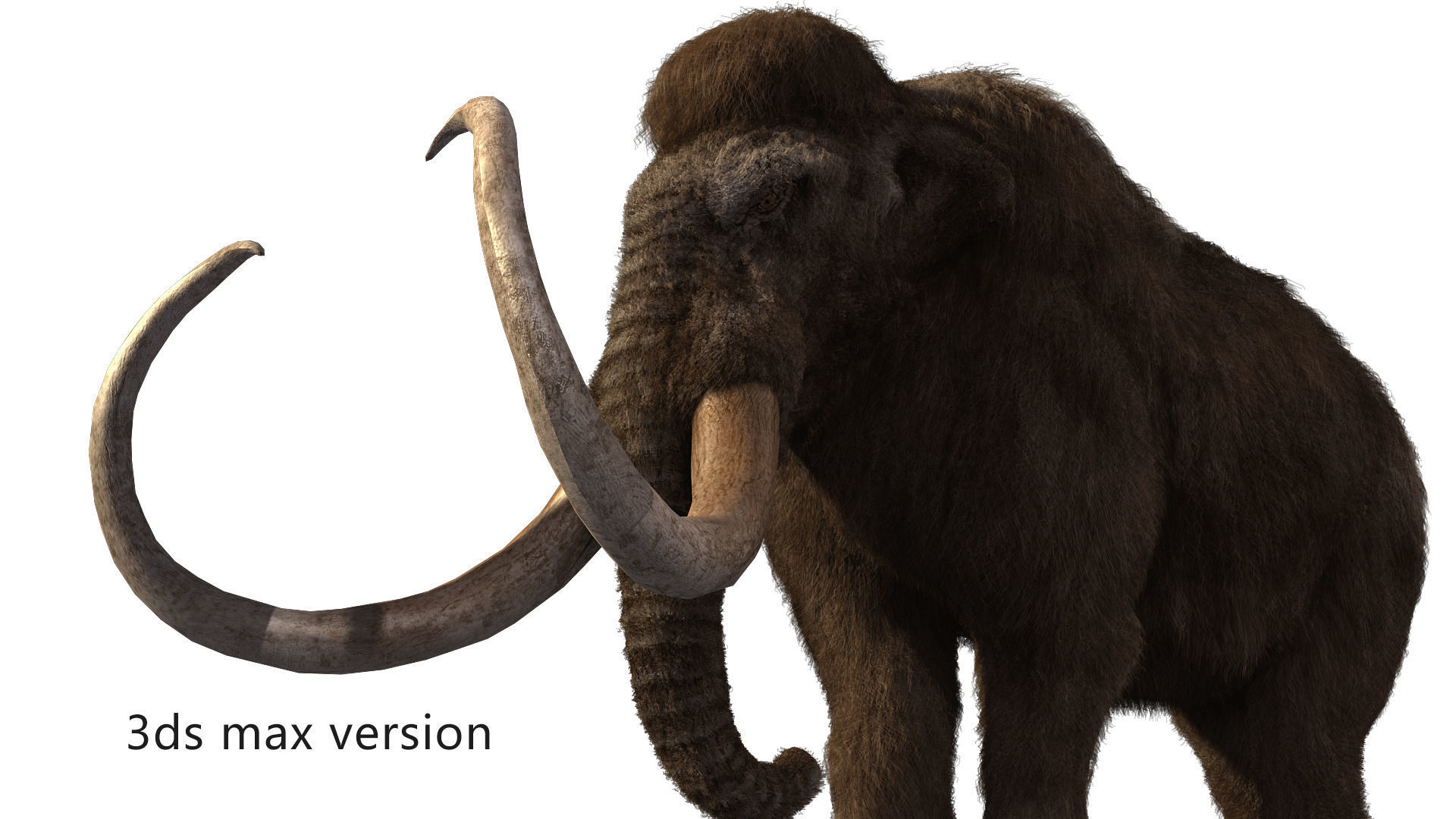 mammoth elephant 3D model_3