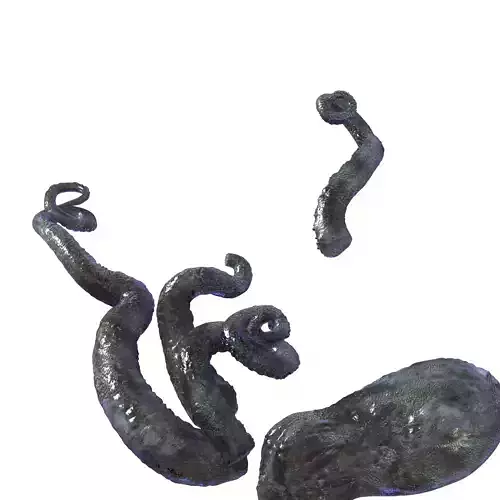 Endless sea - octopus