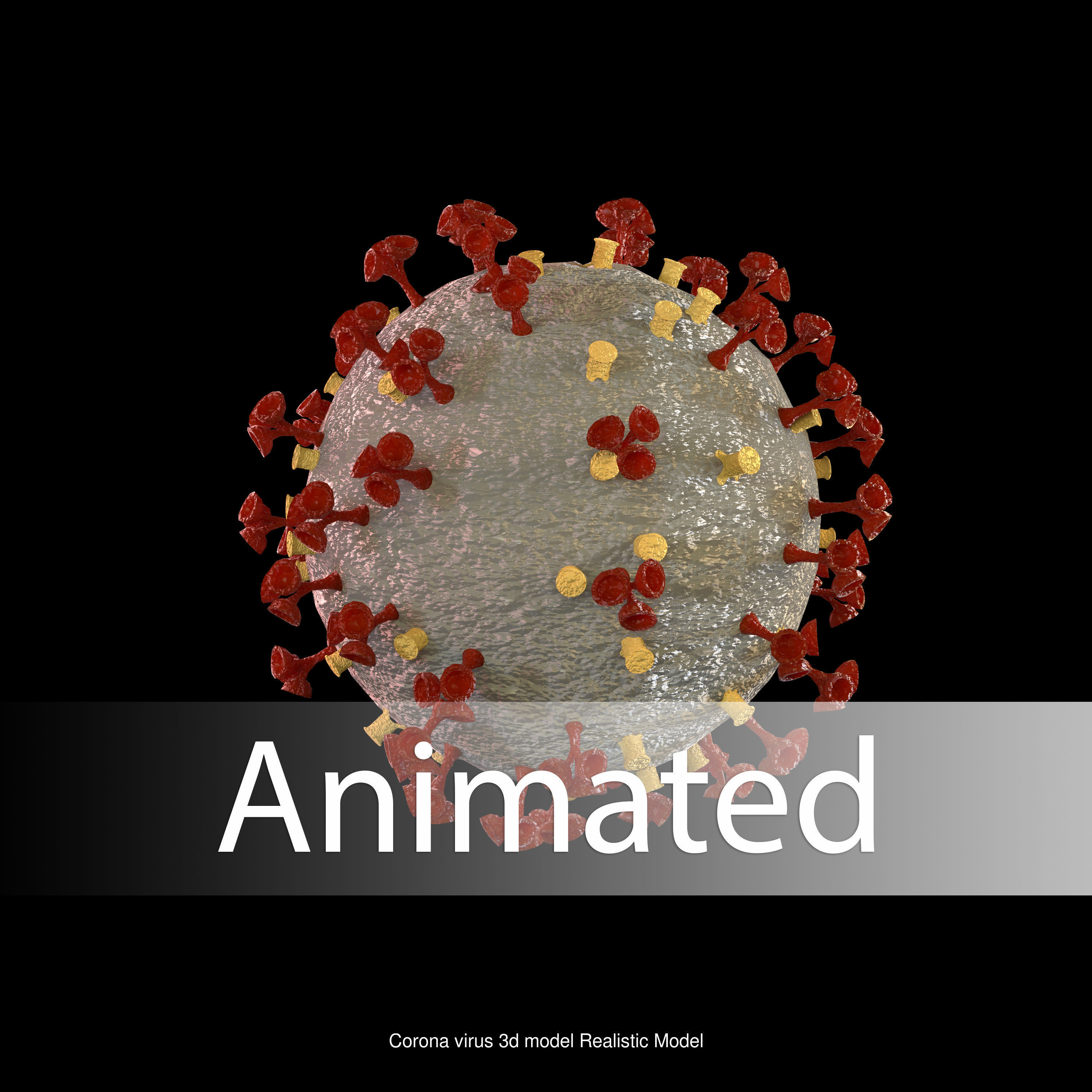 Corona Virus Two Different model and animation 3D Model Collection_1