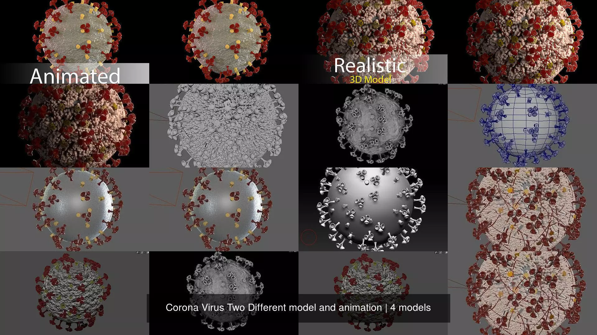 Corona Virus Two Different model and animation 3D Model Collection_0