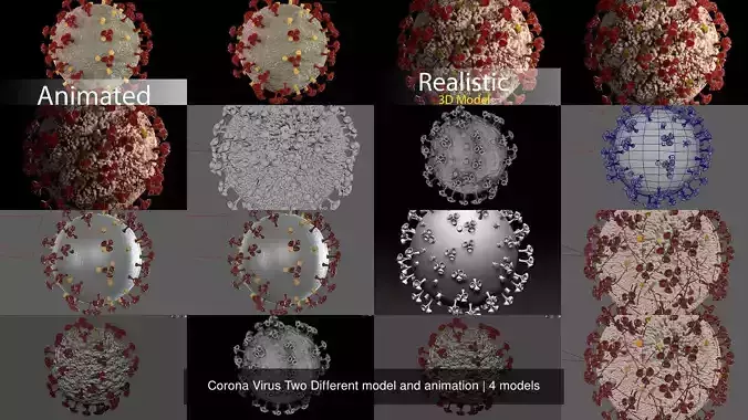 Corona Virus Two Different model and animation 3D Model Collection