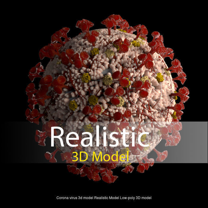 Corona Virus Two Different model and animation 3D Model Collection_3