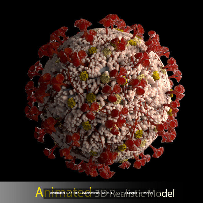 Corona Virus Two Different model and animation 3D Model Collection_4