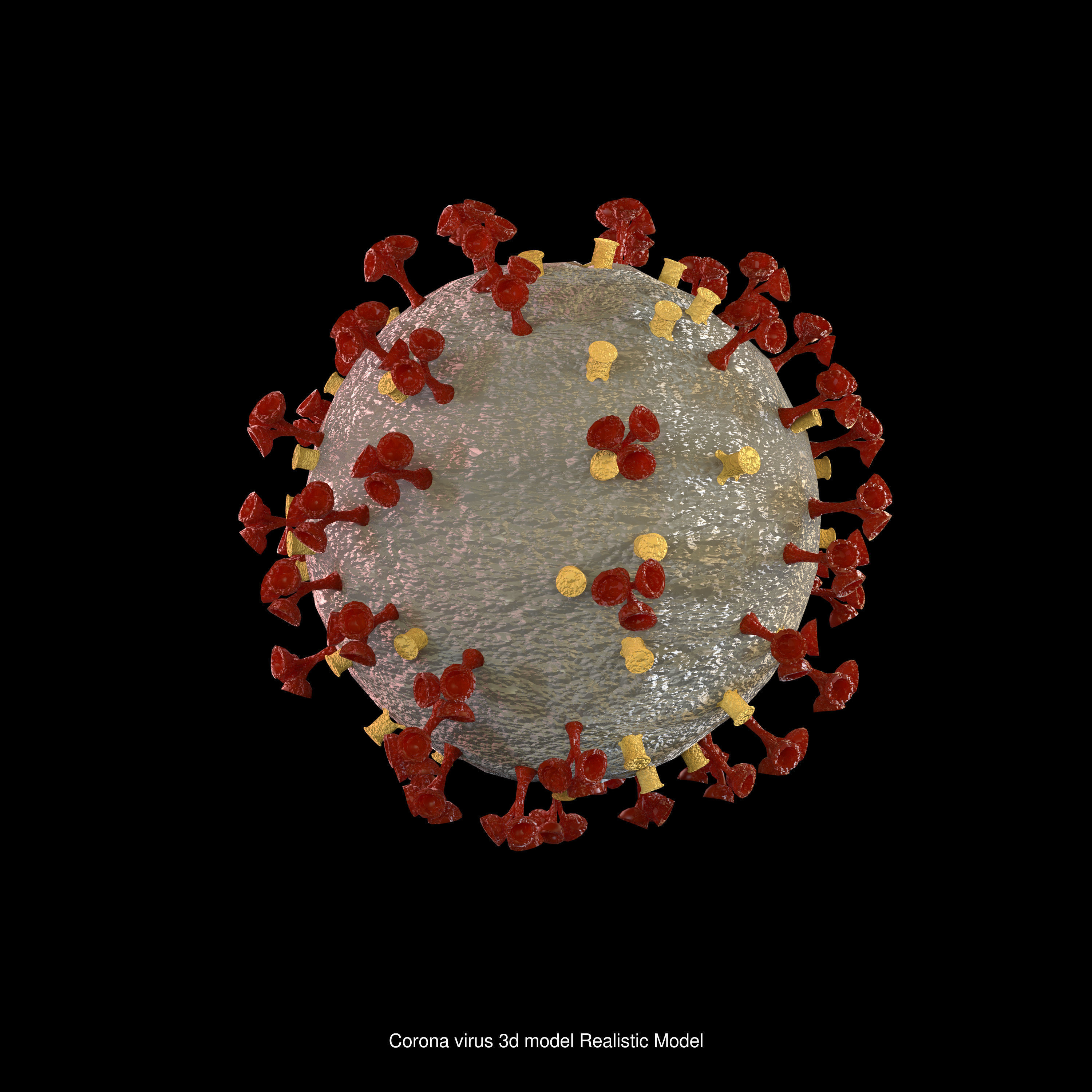 Corona Virus Two Different model and animation 3D Model Collection_2