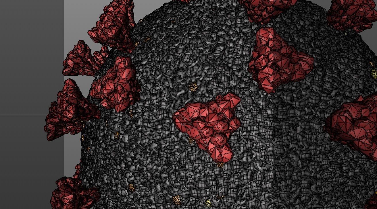 Simple model SARS COV 2 COVID 19  CORONA Virus  3D model_4