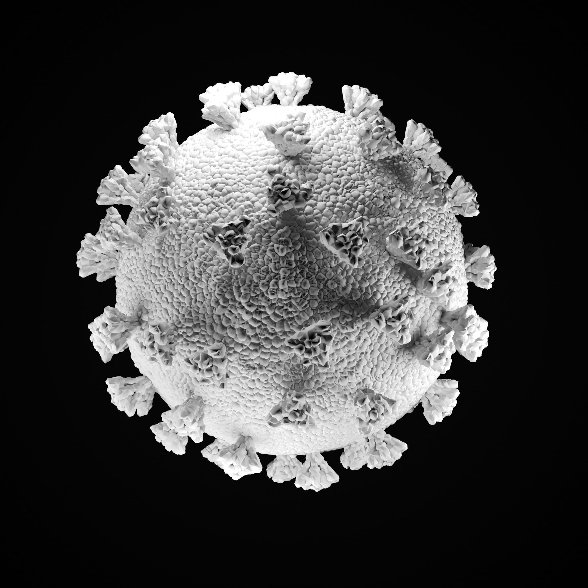 Simple model SARS COV 2 COVID 19  CORONA Virus  3D model_3