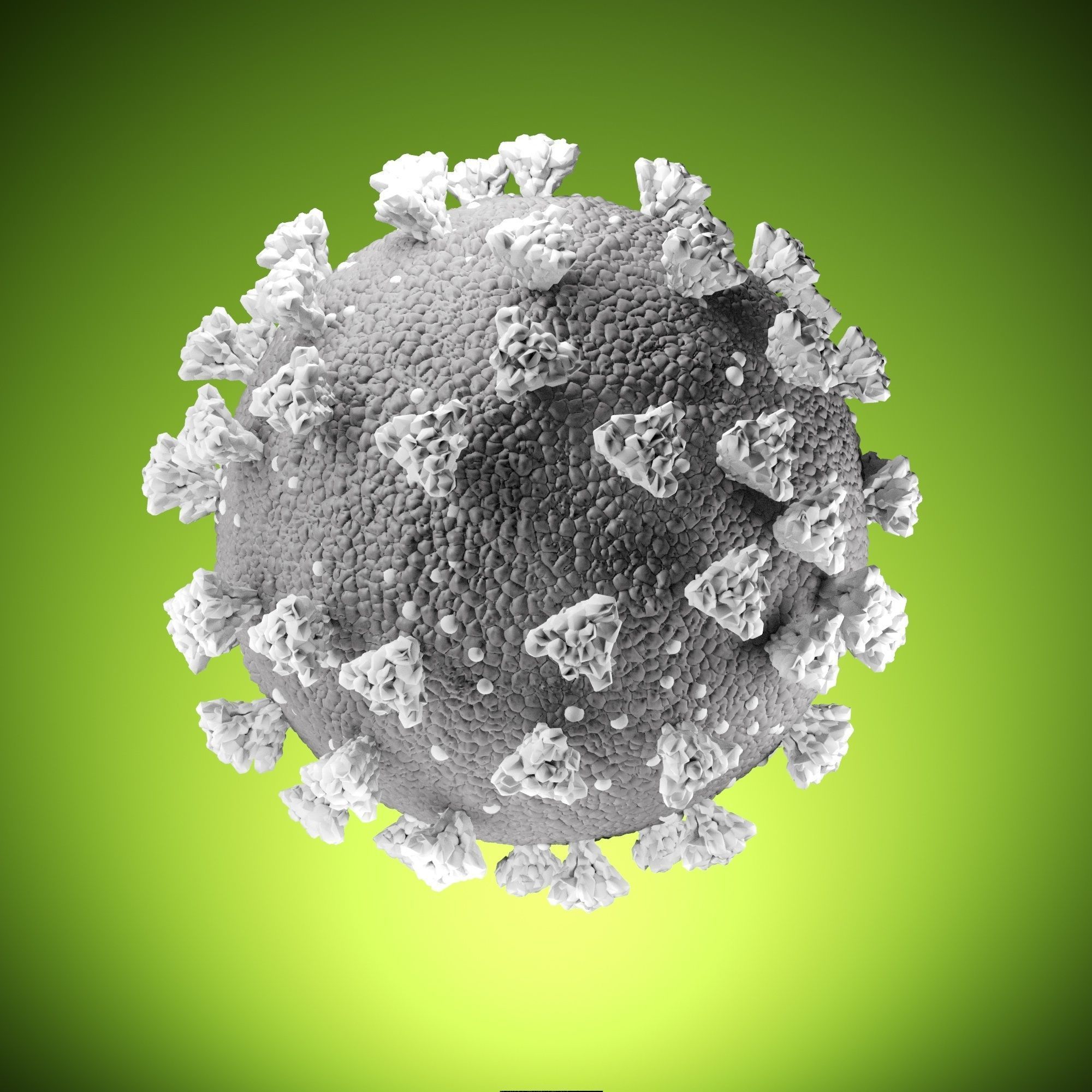 Simple model SARS COV 2 COVID 19  CORONA Virus  3D model_2
