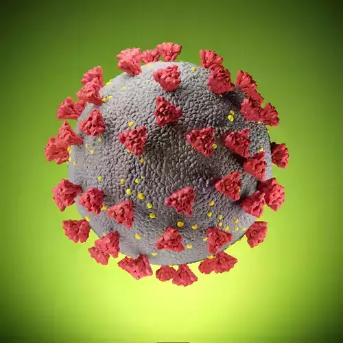 Simple model SARS COV 2 COVID 19  CORONA Virus  3D model
