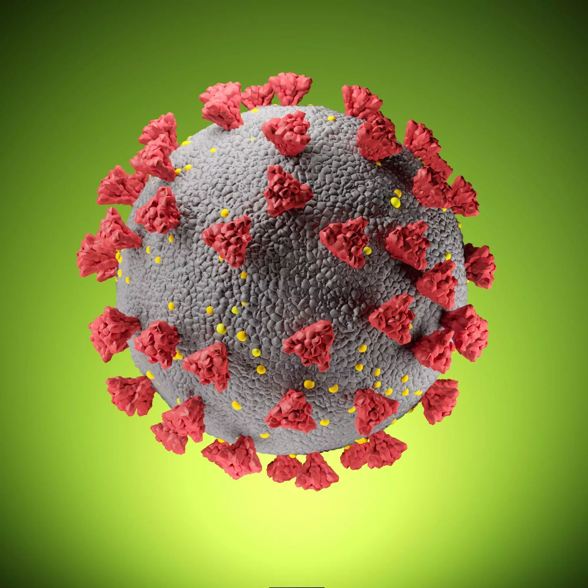 Simple model SARS COV 2 COVID 19  CORONA Virus  3D model_0