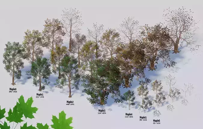 Maple Trees in 3 Seasons Low-poly 3D model
