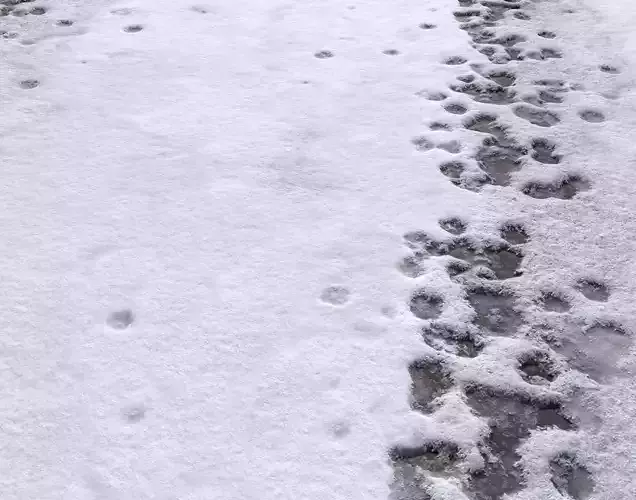 Snow terrain PBR pack 8