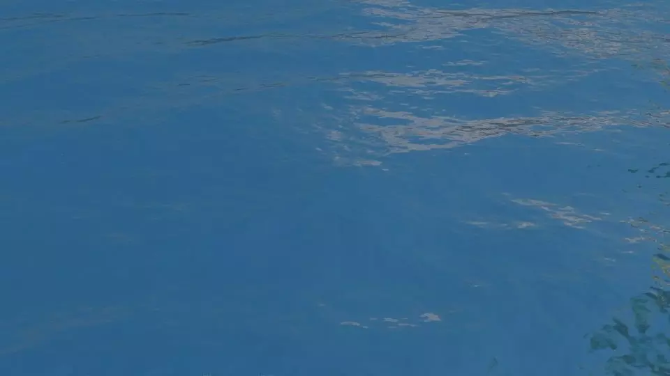 The calm sea Free 3D model_0