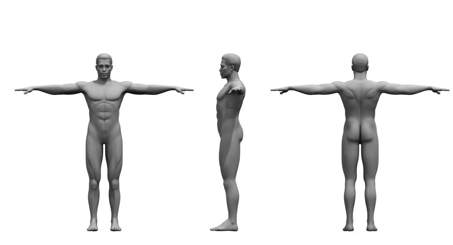 African American human body 3d model  3D model_0